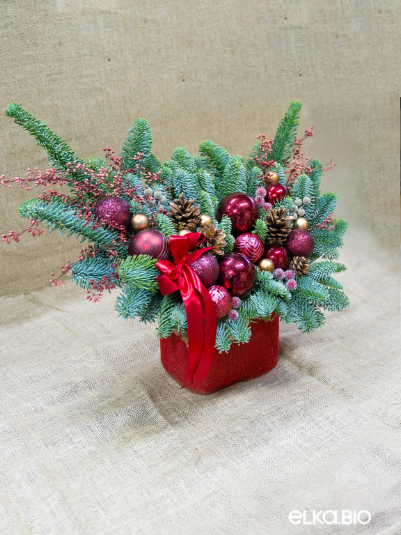 Композиция из пихты Нобилис Королева Виктория К15