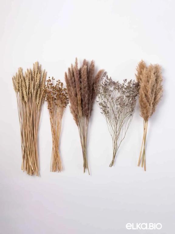 Сухоцветы для декора микс. Набор М064