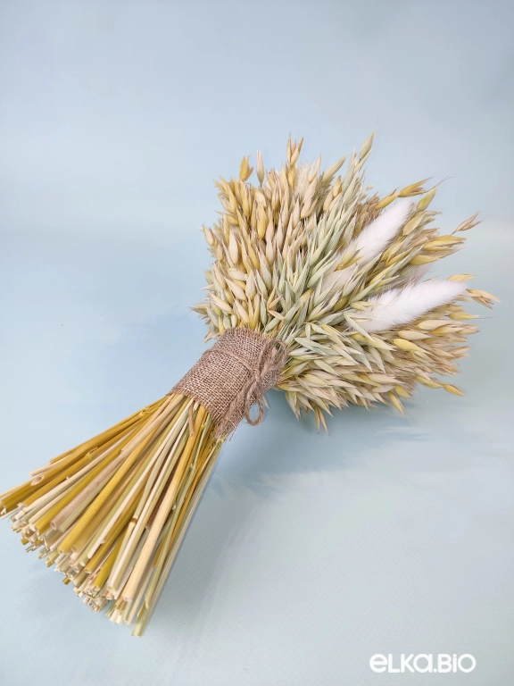 Букет сухоцветов овса и фаляриса Т248-B113