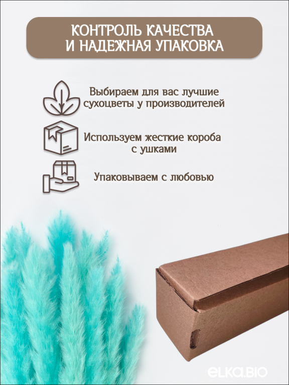 Пампас мини ярко-бирюзовый 15 шт. Высший сорт. Высота 40-50 см. М136