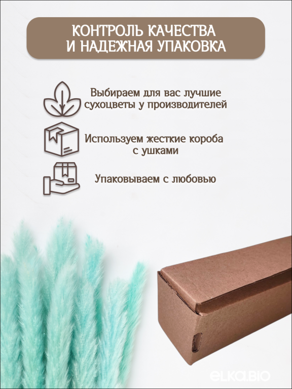 Пампас мини светло-бизюзовый 45 шт. Высший сорт М273
