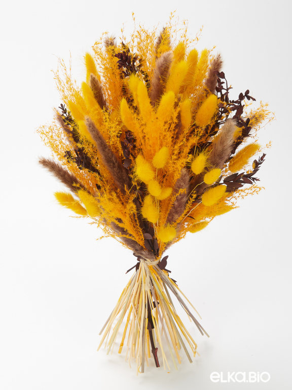 Яркий набор сухоцветов М093