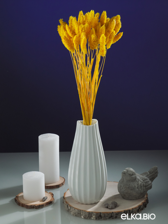 Фалярис жёлтый (40шт) М106