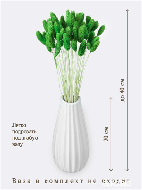 Фалярис зелёный (40шт) М107