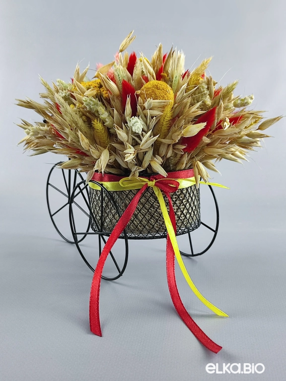 Велосипед с колосками овса и лагурусом Т134-B101