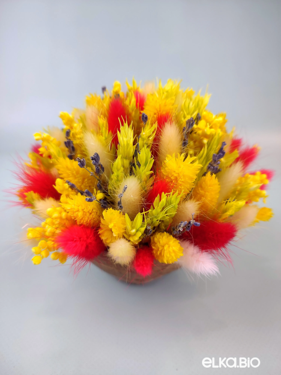 Яркая композиция из сухоцветов в скорлупе кокоса Б99-B113