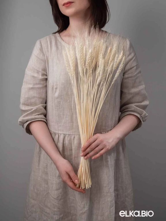 Пшеница белая (40 шт) М099