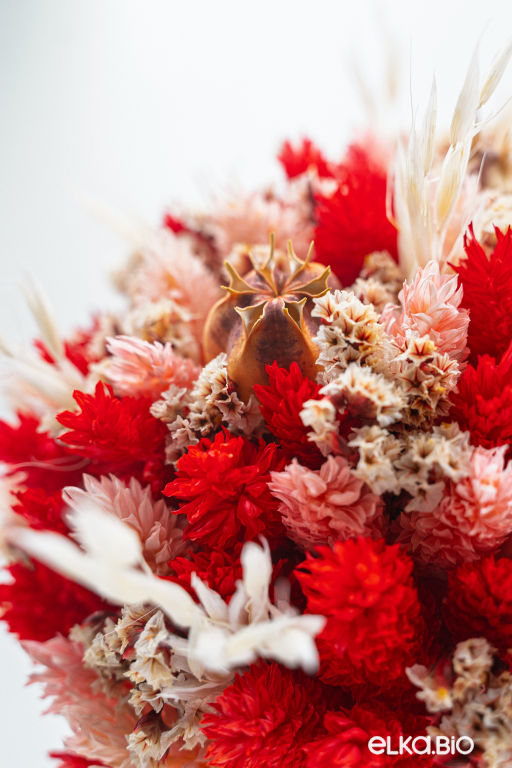 Красный букет из фаляриса, овса, нигеллы и лимониума Т189-B106