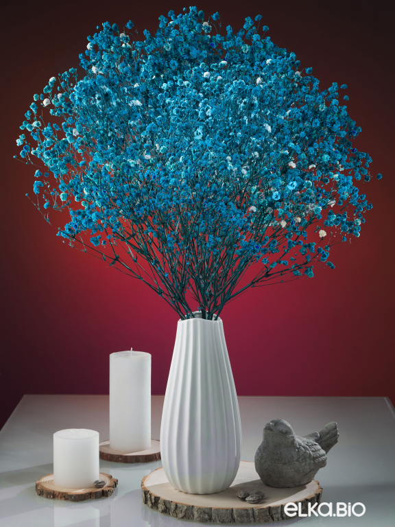 Гипсофила ярко-бирюзовая 140г. Высший сорт - стабилизированная М053