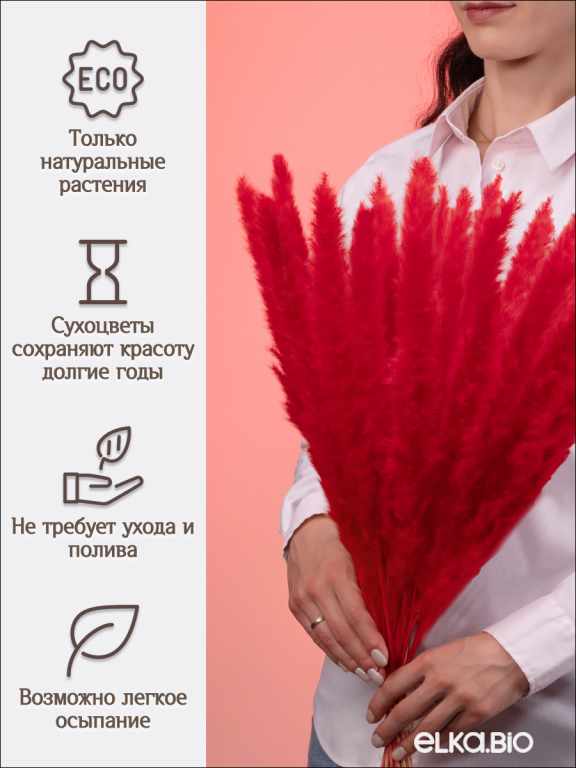 Пампас мини красный 45 шт. Высший сорт М267