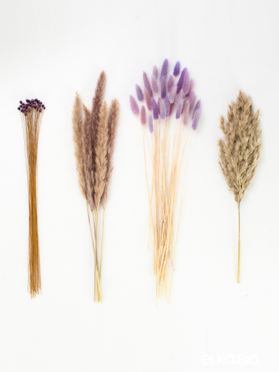 Сухоцветы для декора набор в нежных тонах М310