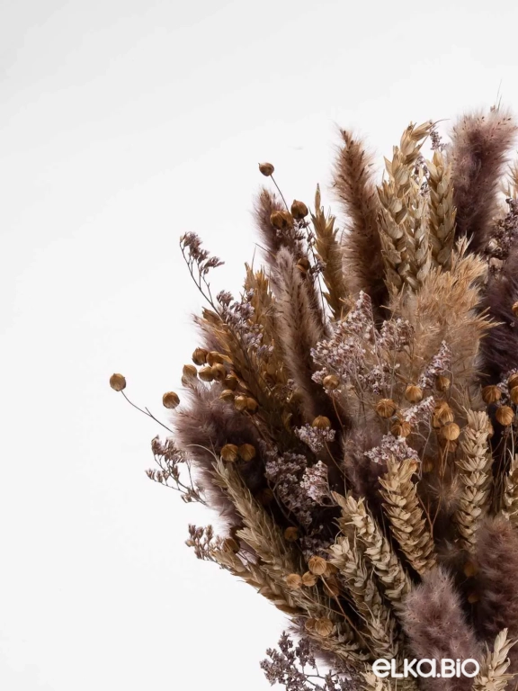 Сухоцветы для декора микс. Набор М064