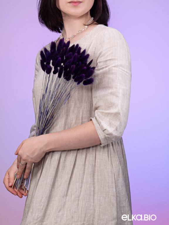 Лагурус фиолетовый высший сорт - 60 шт