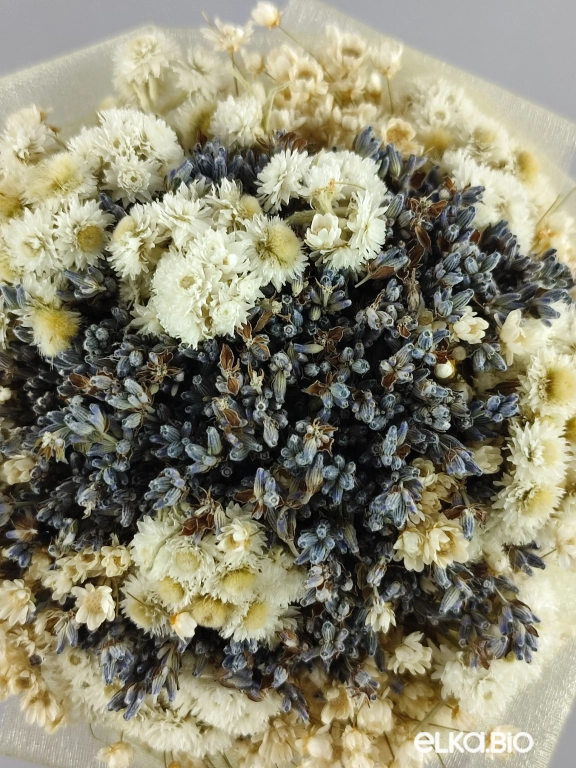 Маленький букет из лаванды Т125-B101