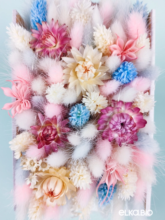 Композиция в кашпо из фаляриса, лагуруса и гелихризума А149-B107