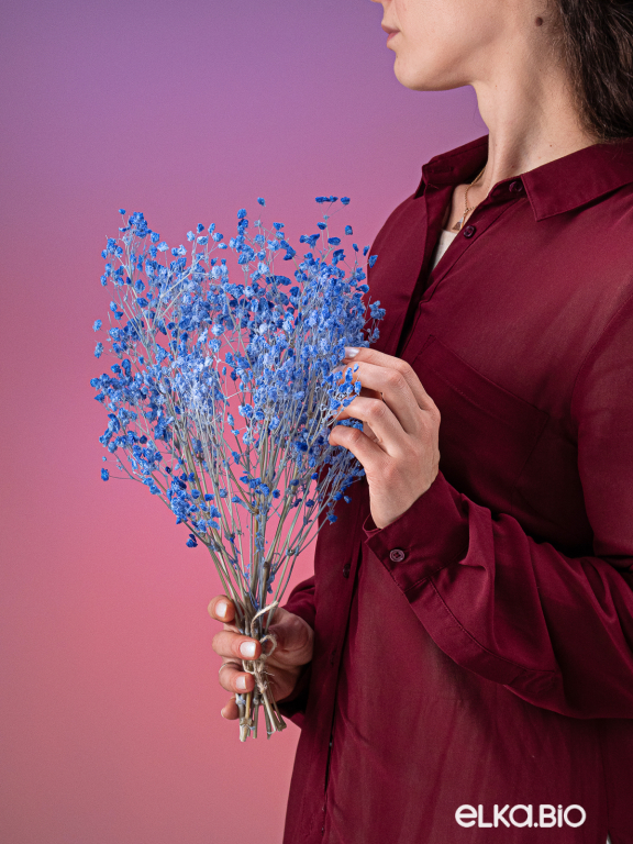 Гипсофила стабилизированная синяя 50 гр. высший сорт М177