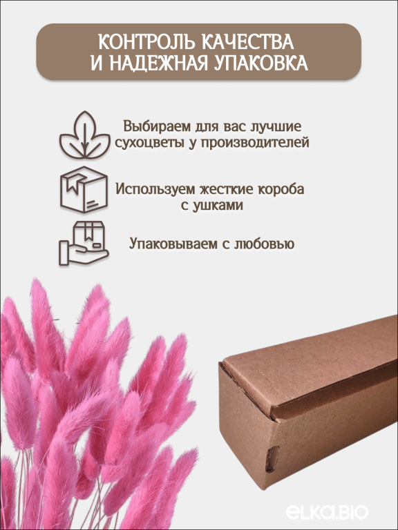 Лагурус розово-сиреневый 60 шт. Высший сорт. Высота 25-35 см М247
