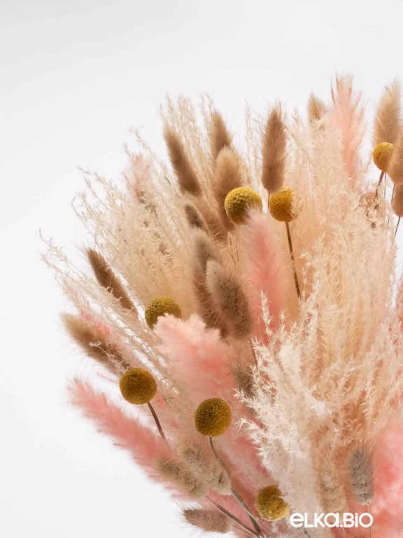 Сухоцветы для декора интерьера. Набор М079