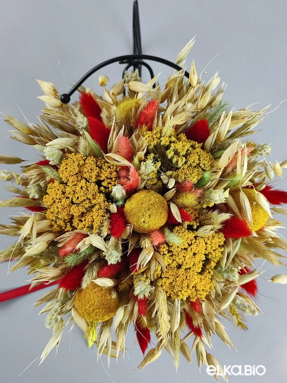 Велосипед с колосками овса и лагурусом Т134-B101