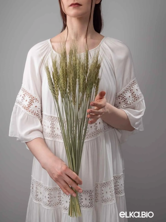 Пшеница зелёная (40 шт) М047 Пшеница зелёная (40 шт) М047