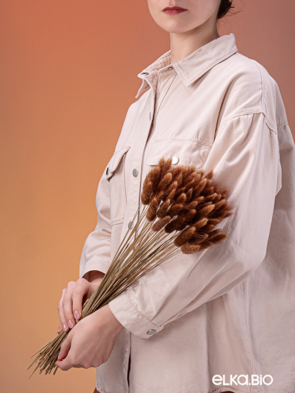 Лагурус шоколадный высший сорт - 60 шт Лагурус шоколадный высший сорт - 60 шт