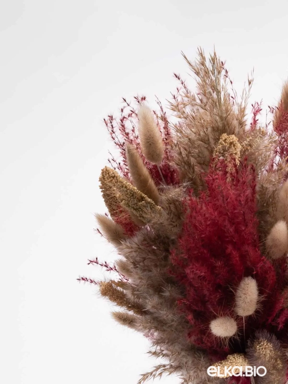 Сухоцветы для декора интерьера. Набор М071