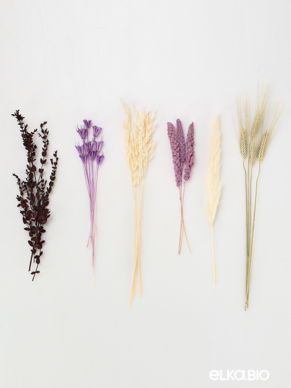 Сухоцветы для декора в наборе М317 Сухоцветы для декора в наборе М317