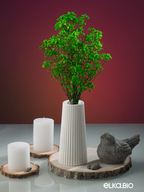 Гипсофила стабилизированная зелёная 50 гр. высший сорт М173 Гипсофила стабилизированная зелёная 50 гр. высший сорт М173