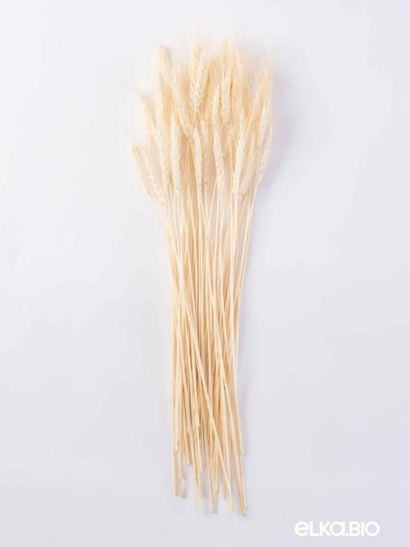 Пшеница белая (40 шт) М099