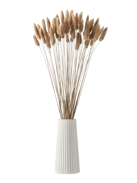 Лагурус натуральный высший сорт - 60 шт Лагурус натуральный высший сорт - 60 шт