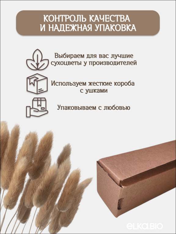 Лагурус натуральный 30 шт. Высший сорт. Высота 25-35 см М469