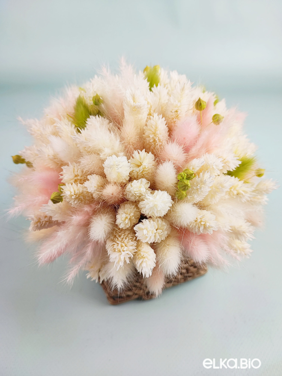 Весенняя композиция из сухоцветов фаляриса с лагурусом Б105-B113