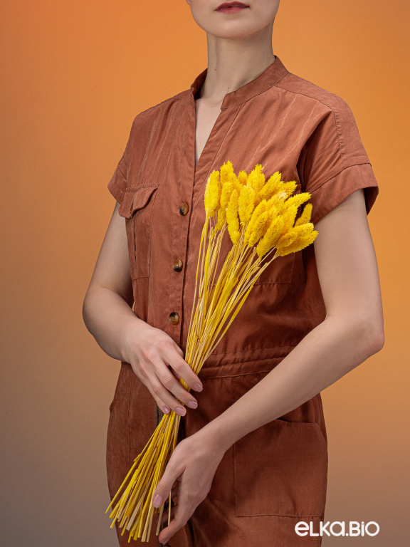 Фалярис жёлтый (40шт) М106