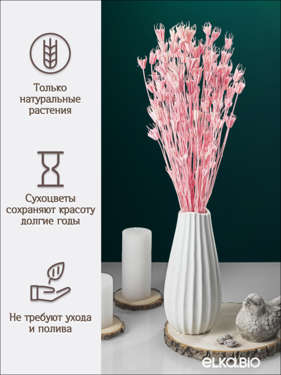 Нигелла розовая 50г. Высший сорт. Высота 40-55 см. М404