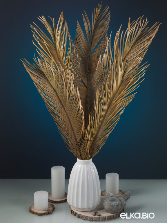 Лист пальмы цикас (5шт) М181