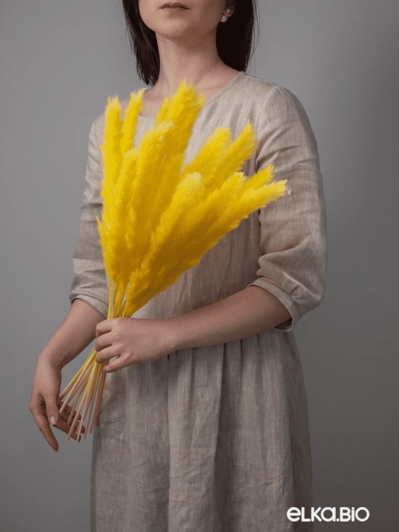 Трава сухоцвет пампас мини 15 шт. жёлтый высший сорт