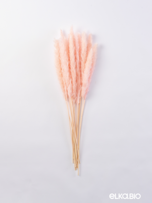 Трава сухоцвет пампас мини 90 шт. светло-розовый первый сорт