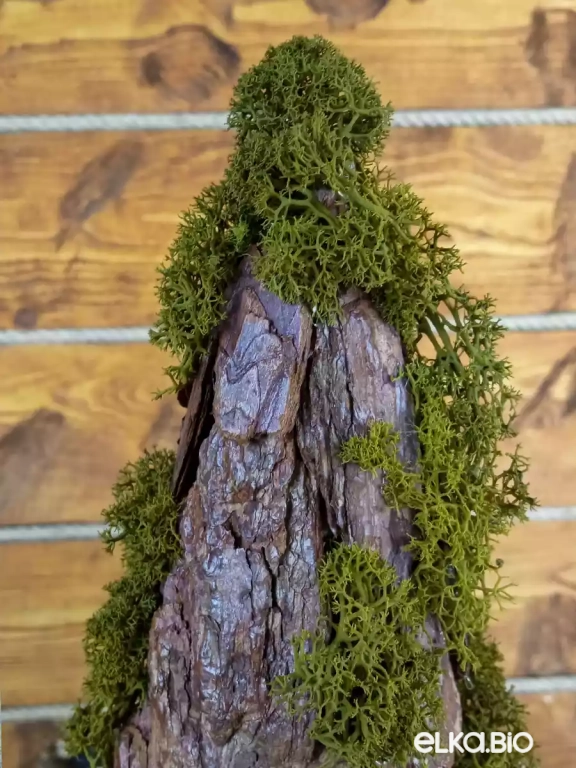 Настольная декоративная елка из коры и мха Лесной чародей Т64-В23