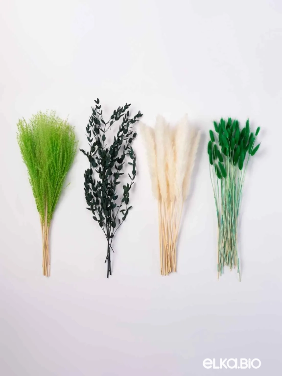 Сухоцветы эвкалипта, пампасной травы, мискантуса и лагуруса для декора. Набор М070