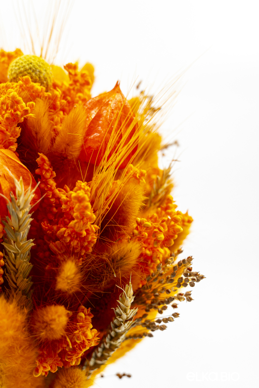 Букет из лагуруса, пшеницы и физалиса Б78-B108