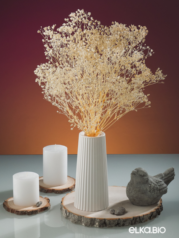 Гипсофила стабилизированная белоснежная 50 гр. высший сорт М169