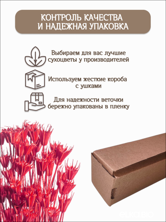 Нигелла вишневая 50 г. Высший сорт. Высота 40-55 см. М727