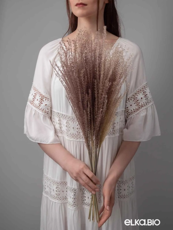 Мискантус натуральный (9-10 шт) М041 Мискантус натуральный (9-10 шт) М041