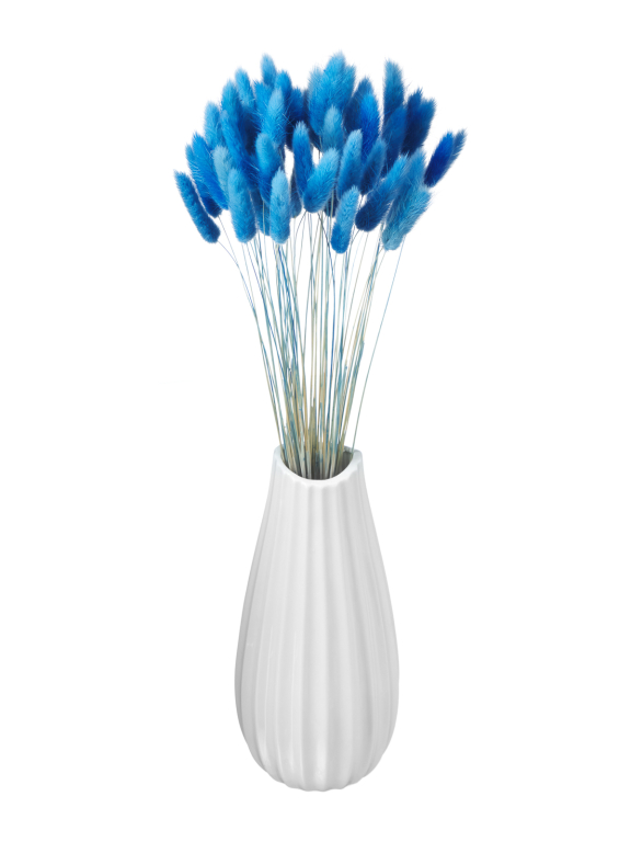 Лагурус синий высший сорт - 60 шт