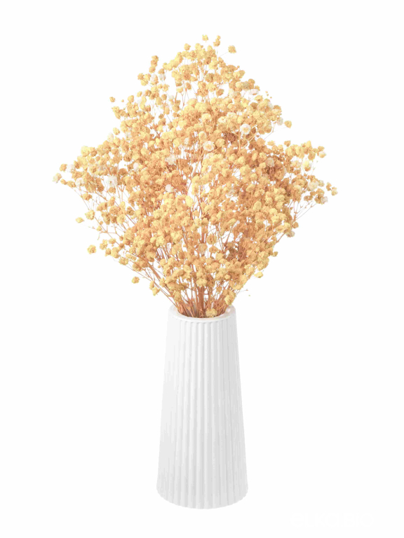 Гипсофила бежевая 50 г. Высший сорт - стабилизированная М493