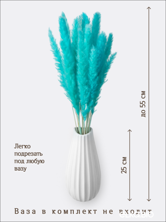 Пампас мини ярко-бирюзовый 15 шт. Высший сорт. Высота 40-50 см. М136