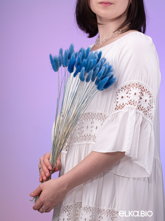 Лагурус синий высший сорт - 60 шт