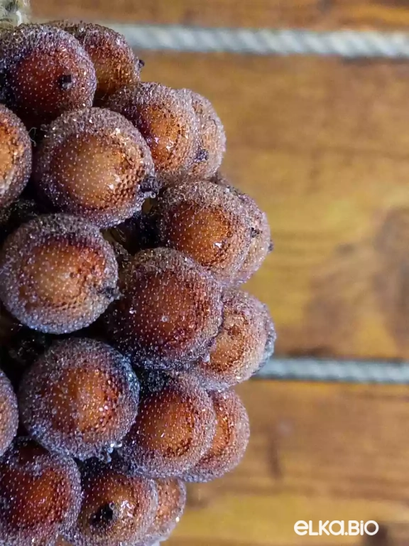 Декоративный шар из ягод Рябиновое настроение Т53-В20