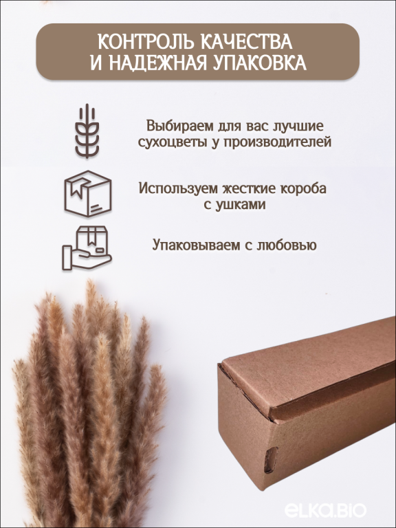 Пампас мини натуральный 15 шт. Высший сорт. Высота 40-50 см. М031