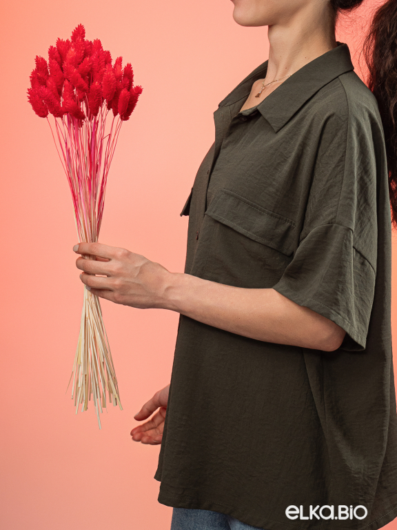 Фалярис красный (40шт) М108